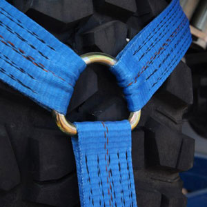Wheel net d-ring close up